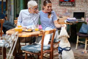 The Perils of Being Pet-Friendly